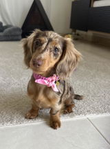 Leonie review photo
