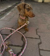 Leonie review photo