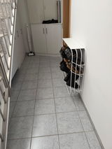 Schuhregal - ALVIER