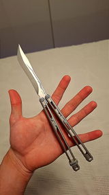 Arian H. review photo