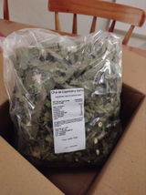 Laura01betha review photo
