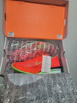Harol David T. review photo