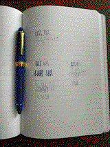 Han Lee review photo
