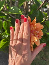 LindsayB review photo