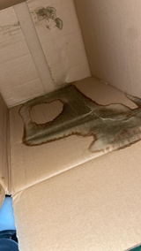 Anonym !. review photo
