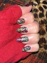 Terrie review photo