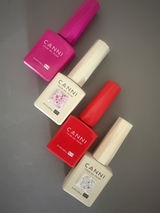 Brigitta B. review photo