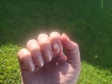 Glazed #1 Round Softgel Press on Nails (inkl. Klebesticker & Nagelkleber)