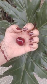 Yasna S. review photo