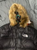 Winter fanatic review photo