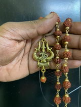 ashwin review photo