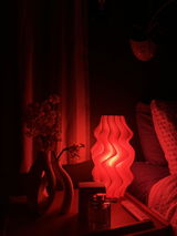 Customer photo of Iris Pleated Table Lamp