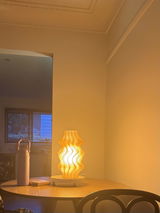 Customer photo of Iris Lamp – Peach (Last Edition Deal)