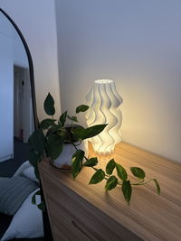 Iris Cordless with Remote