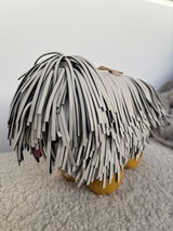 Anonymous review photo