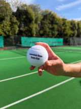 LeverstockGreenTennis review photo