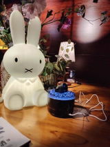 Mari review photo