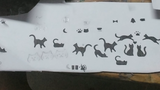 白石 美穂 review photo