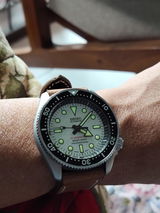 Erwin D review photo