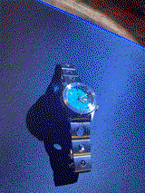 Nader T. review photo