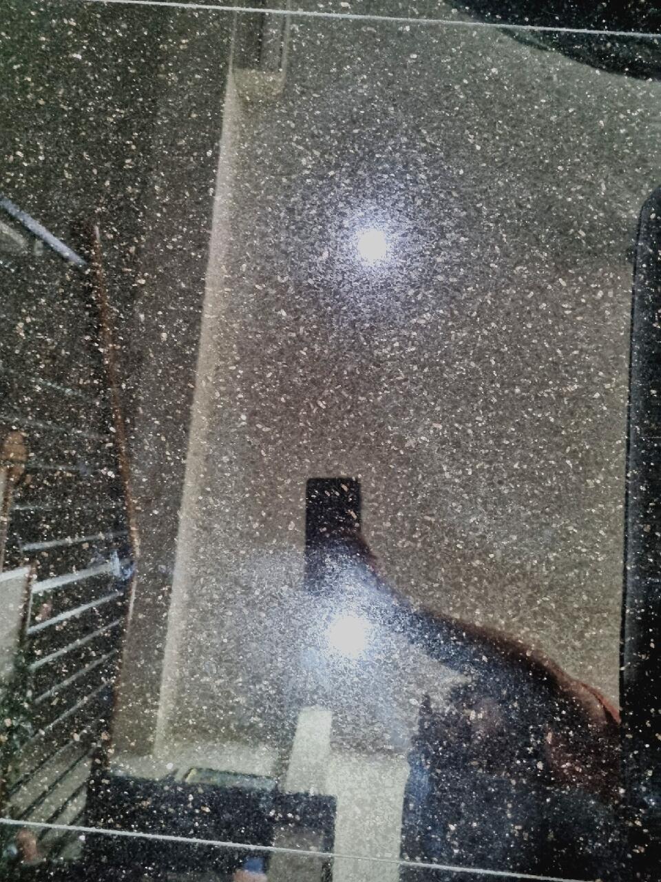 s*****4 review photo