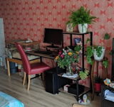 Jelle review photo