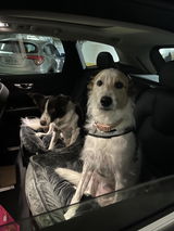 Patricia Borges izar review photo