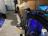 Brandon Albino review photo