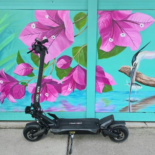 NANROBOT N6 72V