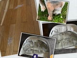 H.S. review photo