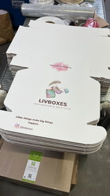 אושי הלוי Livboxes review photo