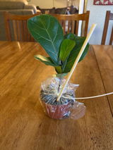 Etsy customer review photo