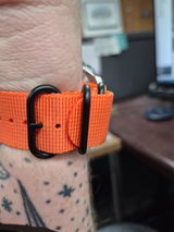 Steven Stapp review photo