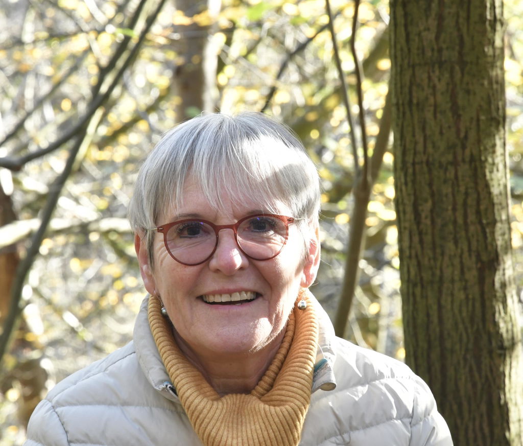 Lave-Vaisselle à la main Écologique