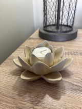Diane Buhler review photo