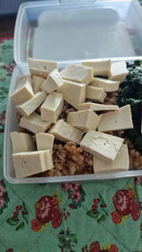 Stefania review photo