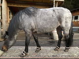 L.S. review photo