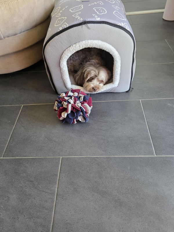 Customer photo from Verena Baur