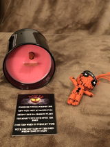 SallyAnn Winter review photo