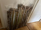 Ralf review photo