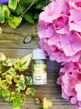Pruebelle review photo