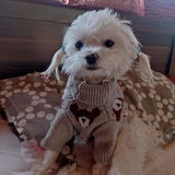 Anónimo review photo