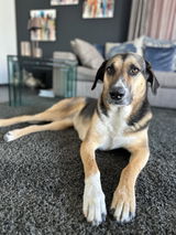 Gabi review photo