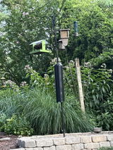 New customer review photo