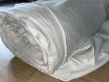 Nina s. review photo