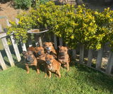 I🧡mystaffords review photo