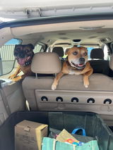 I🧡mystaffords review photo