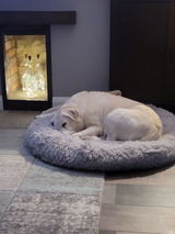 Annabel Shrubshall review photo