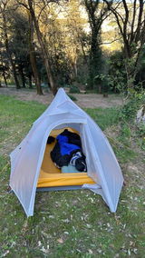 A.P. review photo