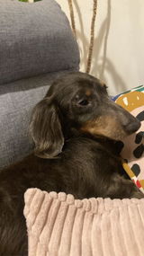 Sophie review photo